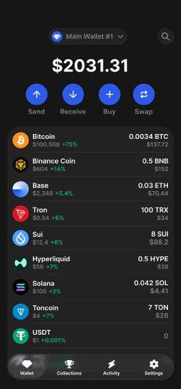 Gem Wallet interface