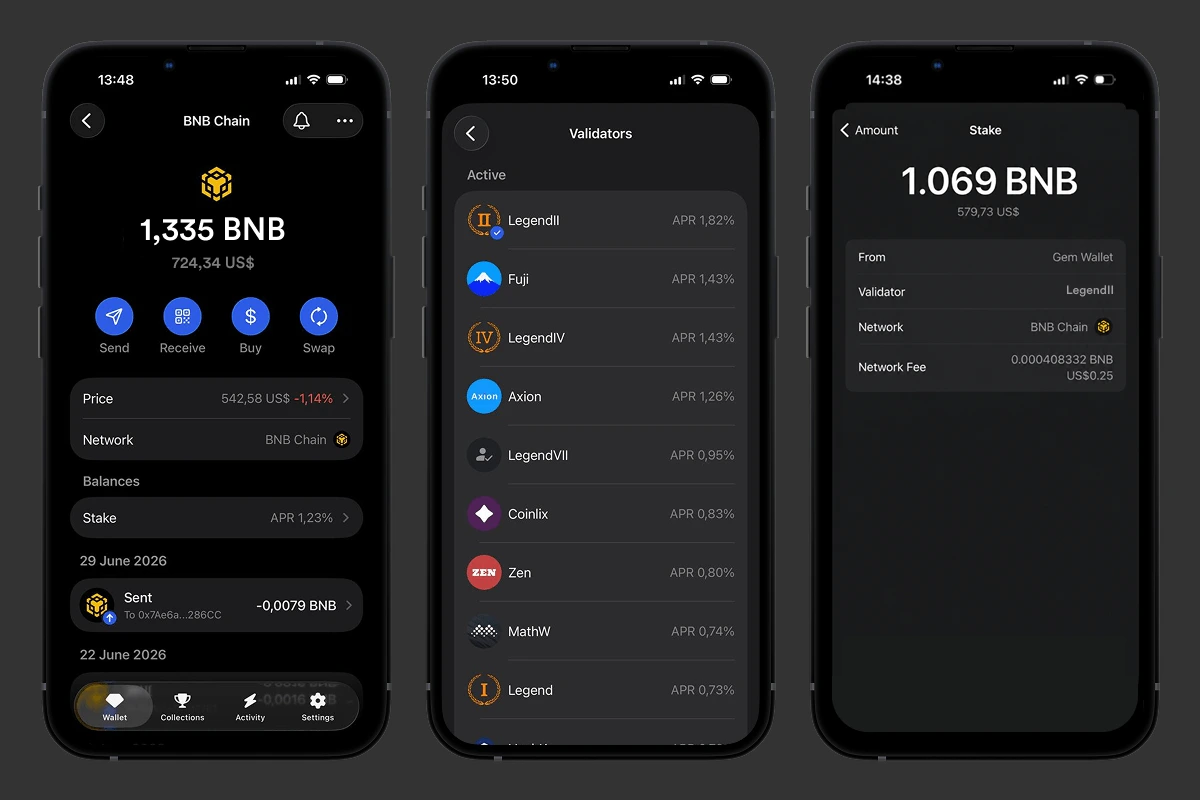 Gem Wallet BNB staking screen with validator and amount selection for on-chain staking