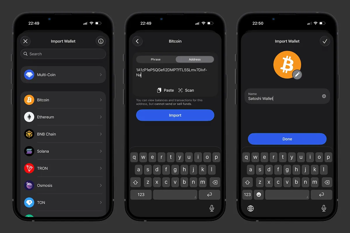Importing a public Bitcoin address on the Address tab in Gem Wallet